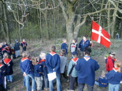 thm_Pic 2004-04-23 10.jpg